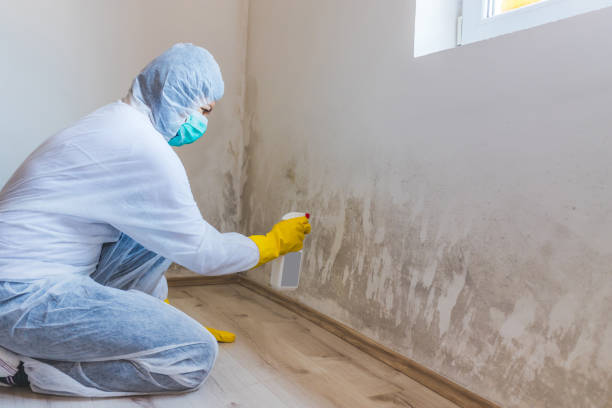 Crawl Space Mold Removal in Ocean Bluff Brant Rock, MA